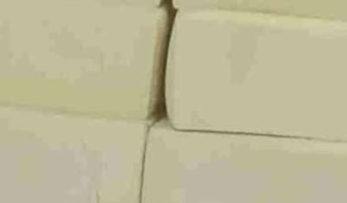 Me ajuda construir minha fábrica de queijo 