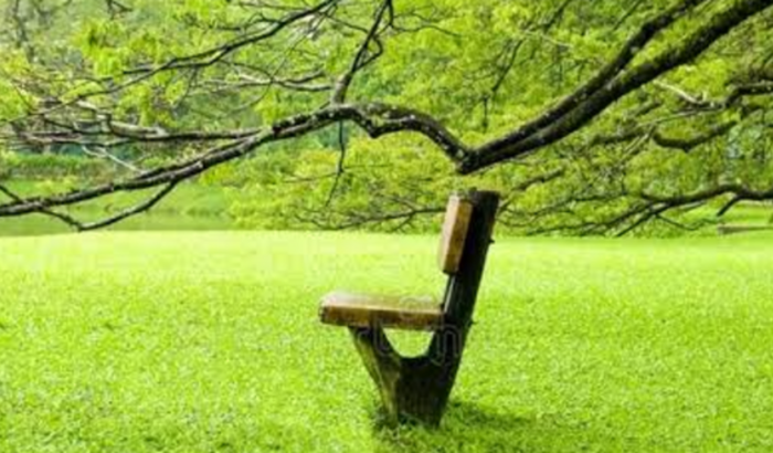 LIVRO: A ARTE DE VIVER