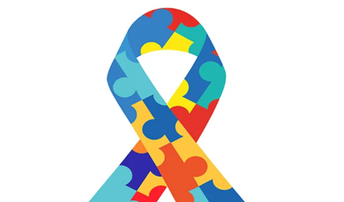 Ajudar a realizar o sonho do meu primo Autista com hiperfoco nos jogos e personagens da nintendo!