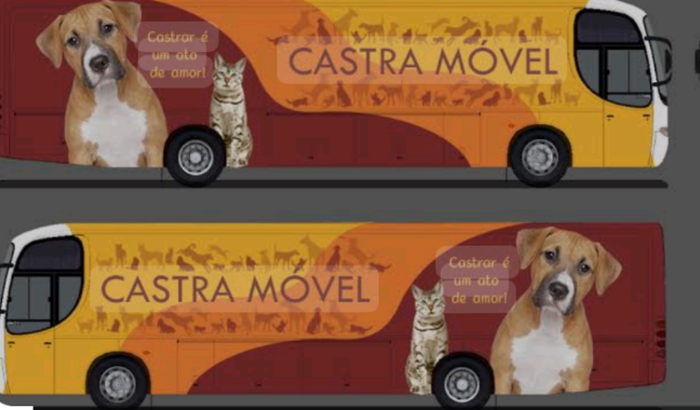 Unidade móvel para fazer recolhimento e castração de animais abandonados