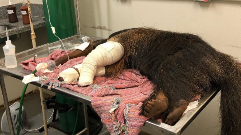 Gerador Energia para o Santuário 