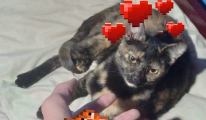 Ajudar para o tratamento da marnie