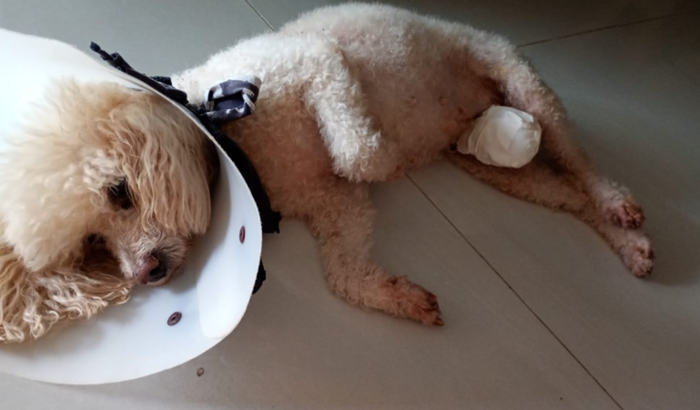 Cirurgia retirada de nódulo