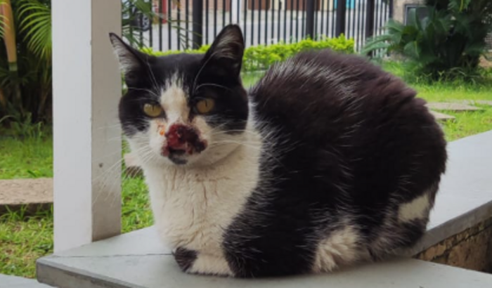 Ajude com a químio da Temari ❤️