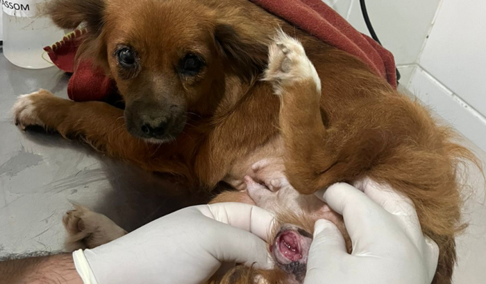 Ajude Regina a vencer o câncer