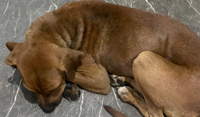 Emergência cirúrgica resgate 