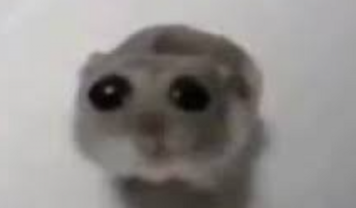 Ajude o London a comprar um mouse 