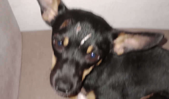 ajude o luck a melhorar