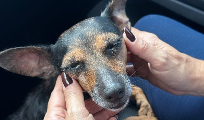 Internação da Judith 