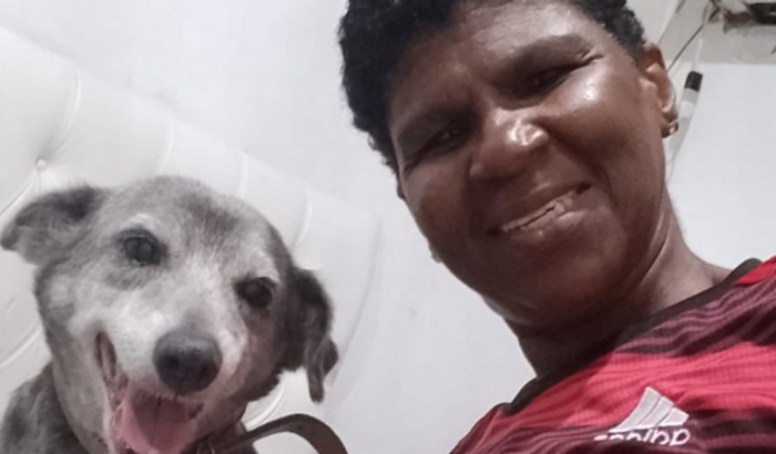 Ajude a cadela Bolinha 