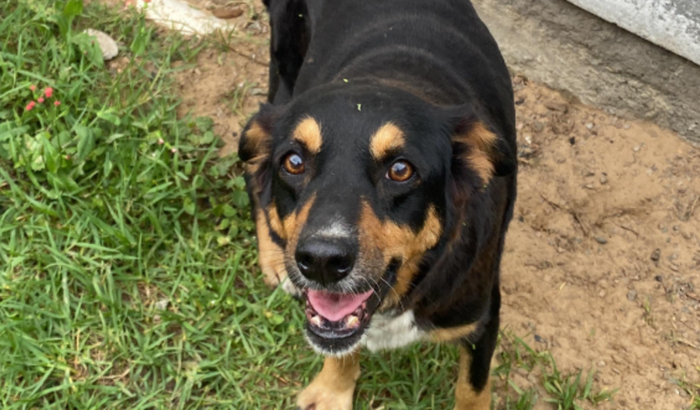 Ajude a Lupita a se curar do câncer