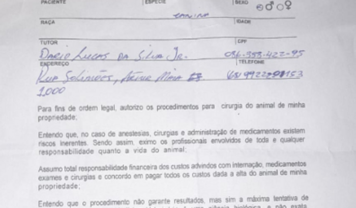 CACHORRINHO DA PATINHA AMPUTADA 
