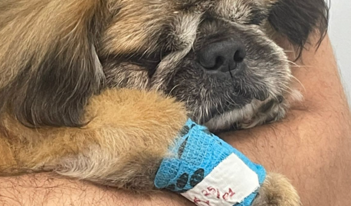 Ajude o Scott com a cirurgia de coluna