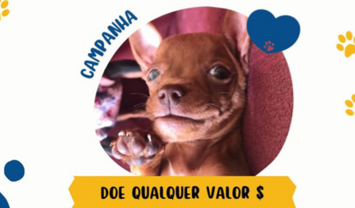 Mini - Ressonância Magnética