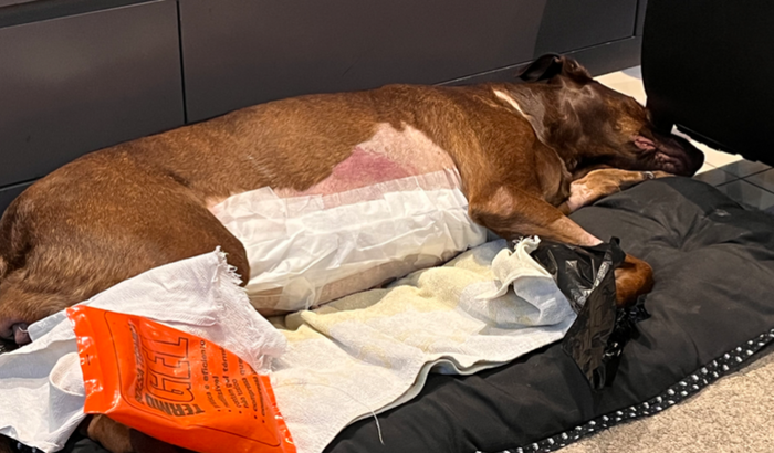 KiKy Vai Vencer O Câncer