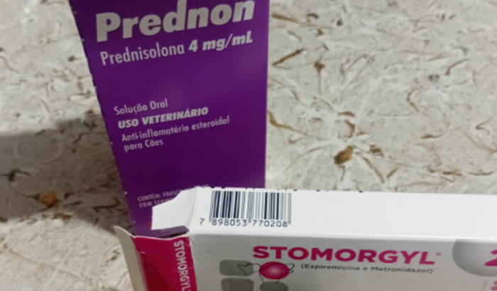 Cirurgia da minha cachorrinha lila