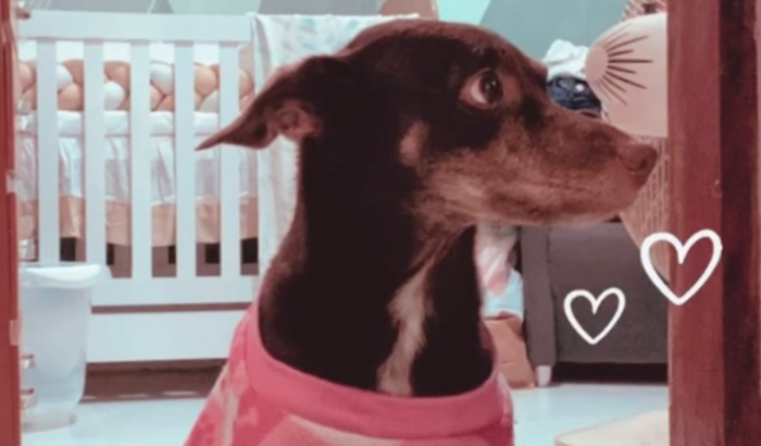 Sua ajuda pode transformar a história de Chloe 