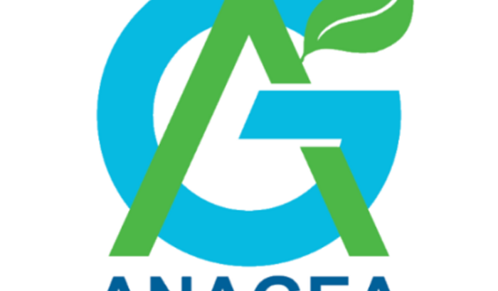 Regulamentação da Profissão de Gestor Ambiental - PL 3515/2019