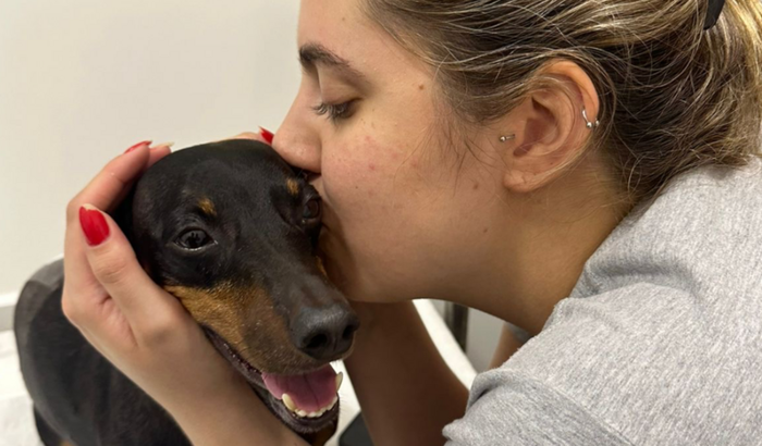 Tratamento do Jack 🐶❤️