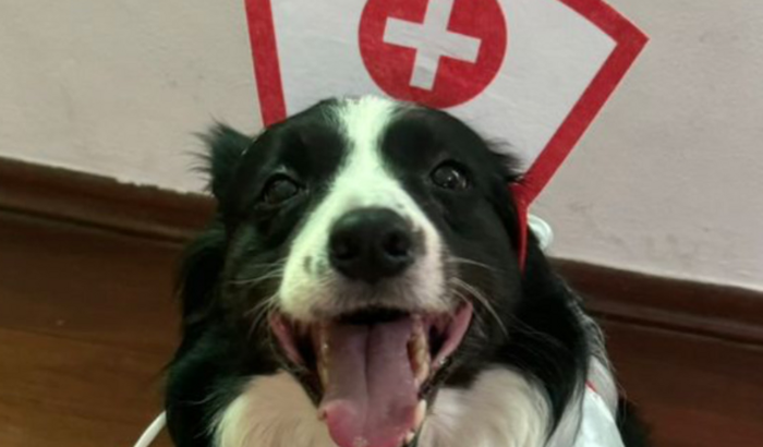 Seja o Herói da Sunny