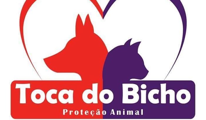 Doação Projeto Toca do Bicho