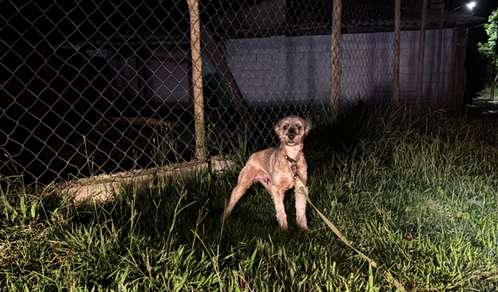 Vakinha para Chokito