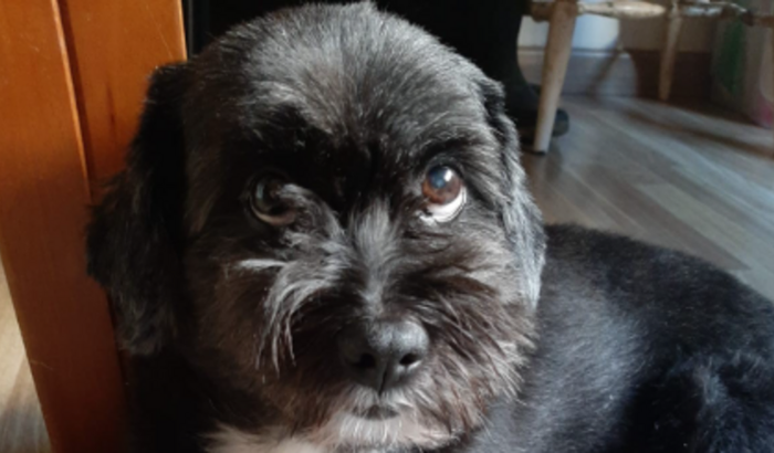 Salvem o meu filhinho!!