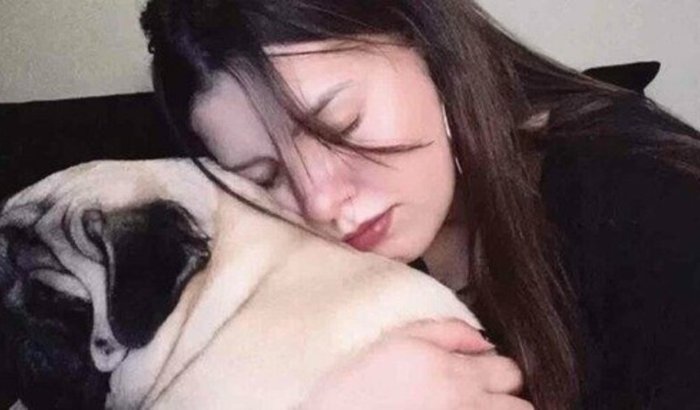 Meu ex devolveu meu cachorro de 3 anos cego preciso operar 