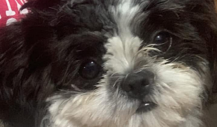 Ajuda para quitar a dívida da cirurgia!