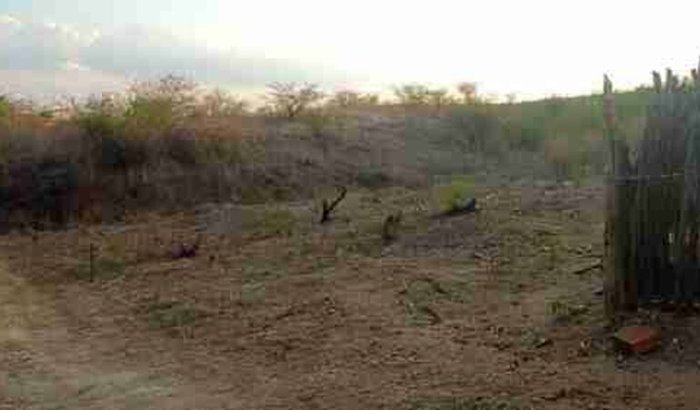 Realização de um sonho galpão da minha oficina