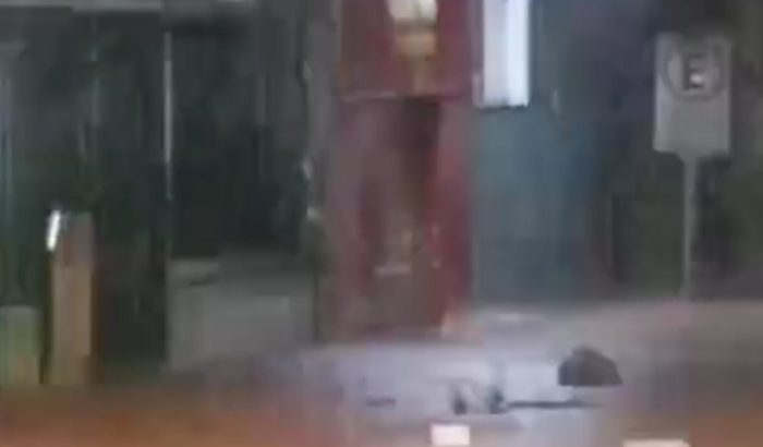 Karina da Carol Coxinhas