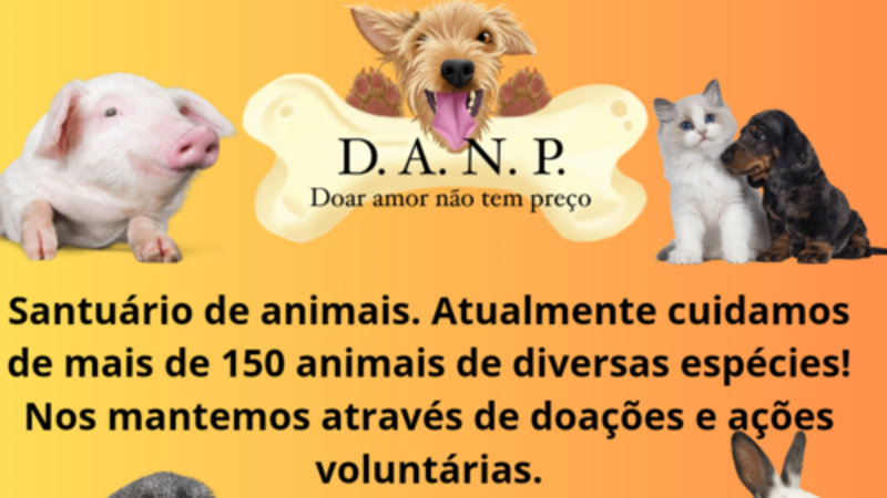 Precisamos de um lar para mais de 150 animais que estão sendo despejados 
