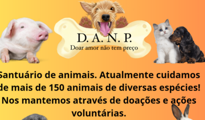 Precisamos de um lar para mais de 150 animais que estão sendo despejados