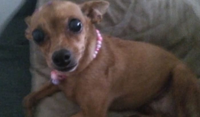 Ajuda para a Cheron fazer um exame de coração mais a consulta 