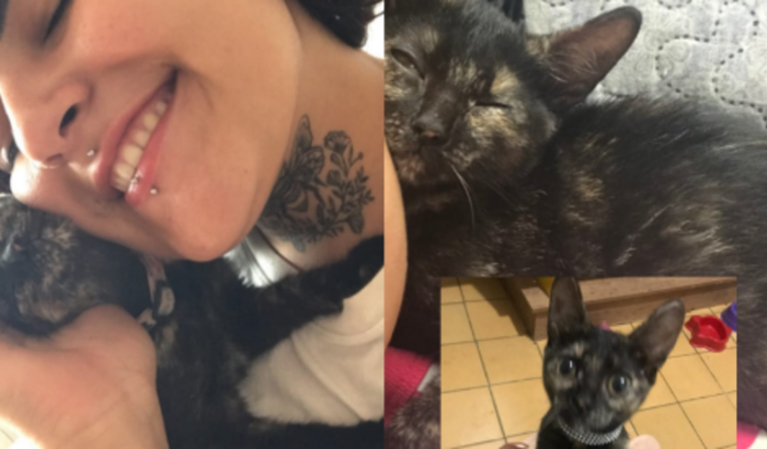 Cirurgia da Ludmillah