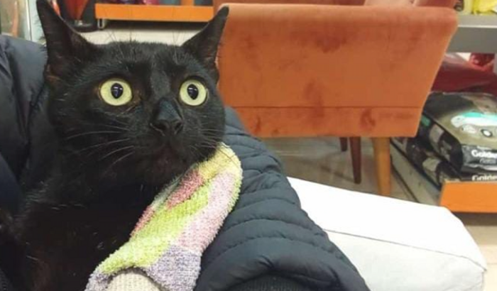 Ajuda para o meia noite