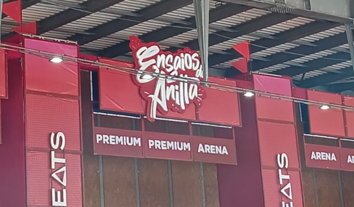 Me ajude a conhecer a anitta.