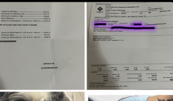 Um final feliz para o Théo