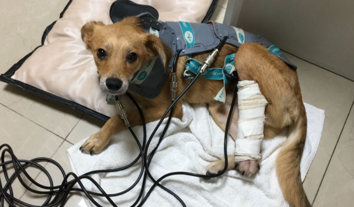 Ajude o Miguel a se recuperar