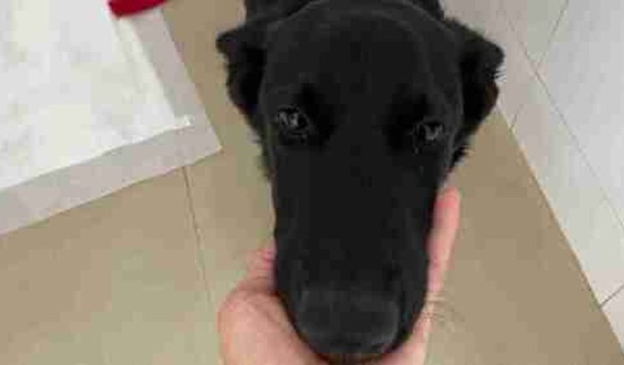 Cirurgia da pretinha