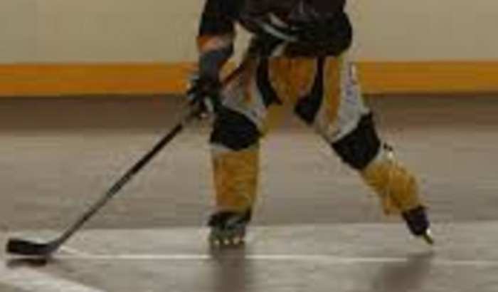 Comprar Blades de Hockey para Projeto Social