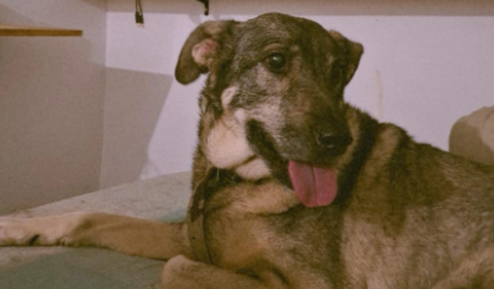 Ajuda nas despesas médicas do Kinder