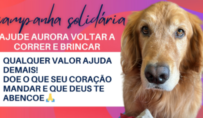 Ajude Aurora voltar a brincar e correr