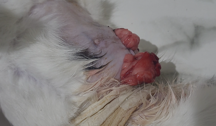 Gastos com a Bernadete 