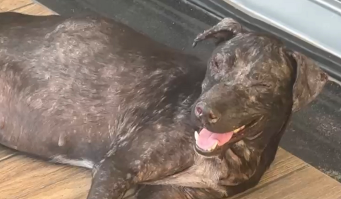 Juntos podemos salvar