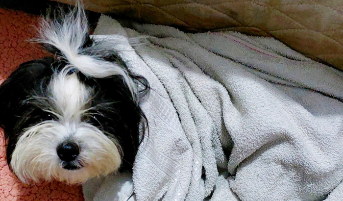 Ajuda Para o Tratamento do Thury  