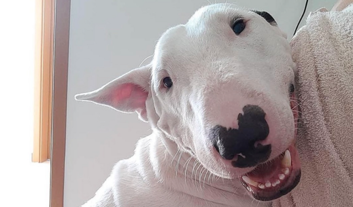 Cirurgia e tratamento Vader