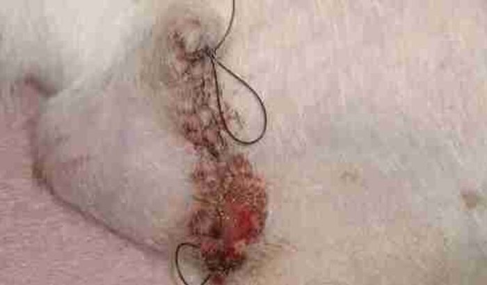 Para refazer os pontos de docinho.