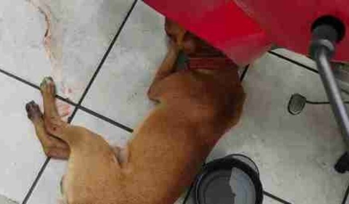 Oi pessUau, me AUjuda