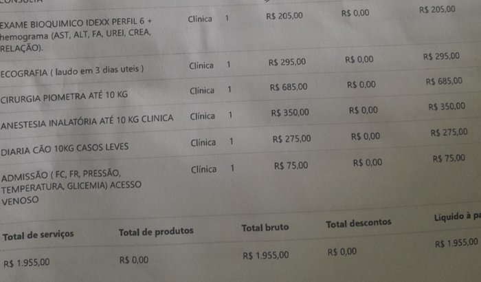 Ajude a salvar minha cadelinha Lili